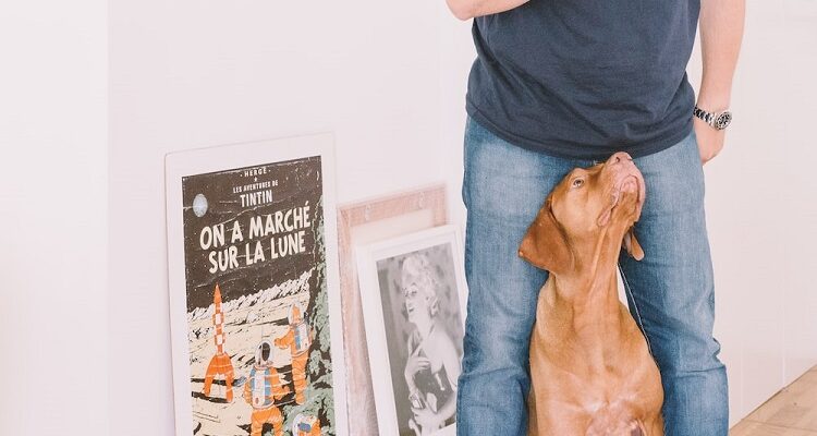 Selecting a Dog - How To Select the Best Pet For The Family Dog