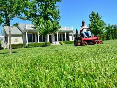 Lawn Care Business