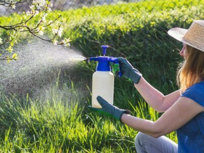 A Deep Look Into Lawn Insect Damage: What You May Be Missing Lawn Insect Damage
