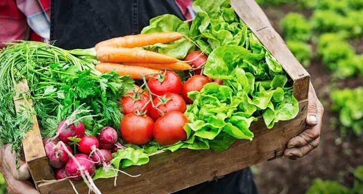 Five Benefits of Consuming Organic Food Organic Food