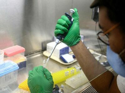 Poliovirus, Disaster Emergency Declared In New York Poliovirus, Disaster Emergency Declared In New York